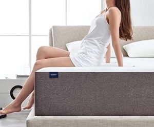 Foam Mattress Twin