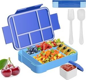 Six Compartment Lunch Box (Fork & Spoon Included)