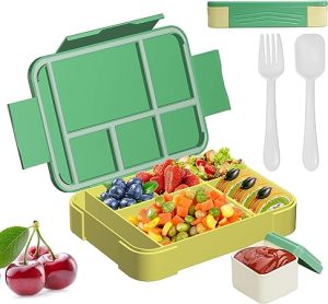 Six Compartment Lunch Box (Fork & Spoon Included)