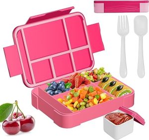 Six Compartment Lunch Box (Fork & Spoon Included)